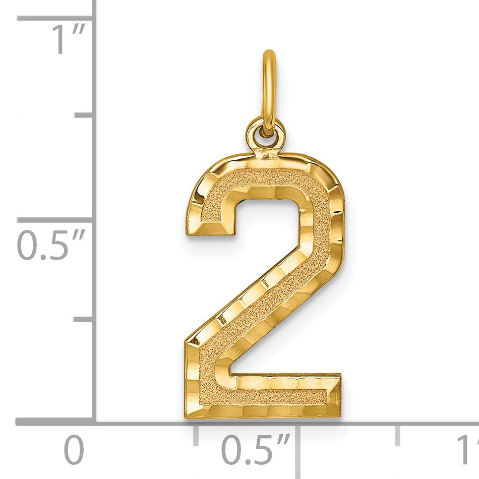 14k Large Brushed Diamond-cut Number 2 Charm
