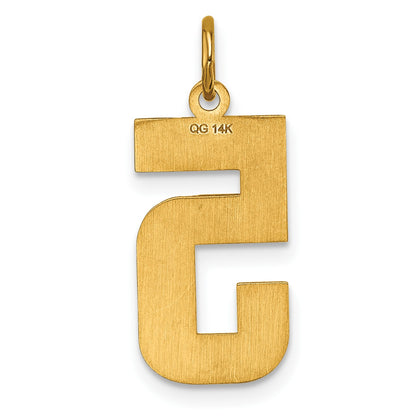 14k Large Brushed Diamond-cut Number 5 Charm