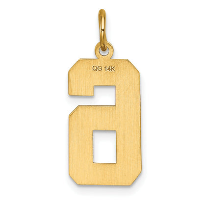 14k Large Brushed Diamond-cut  Number 6 Charm