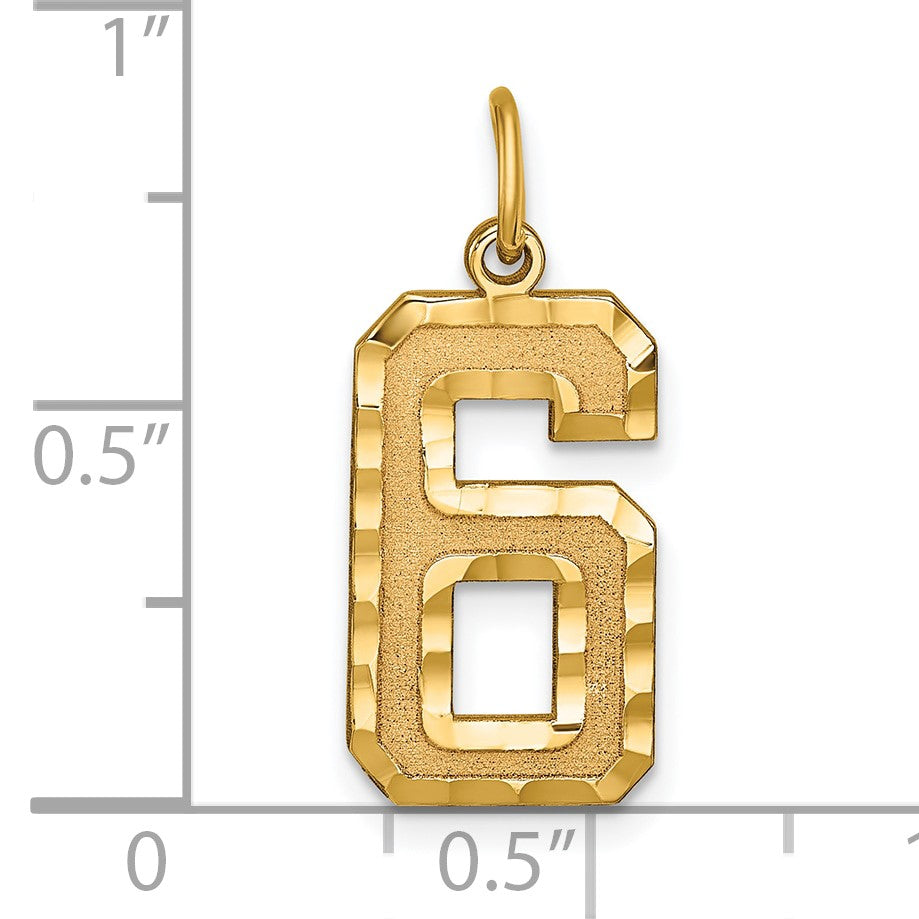 14k Large Brushed Diamond-cut  Number 6 Charm