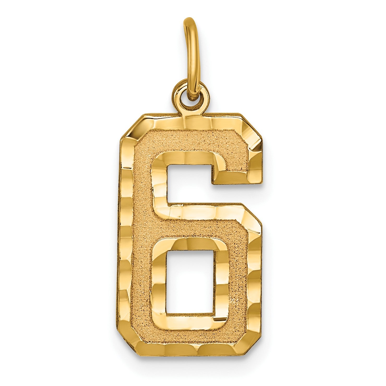 14k Large Brushed Diamond-cut  Number 6 Charm