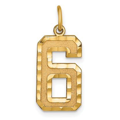 14k Large Brushed Diamond-cut  Number 6 Charm