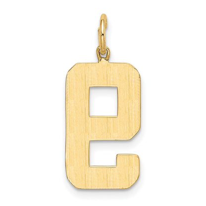 14k  Large Polished Number 9 Charm