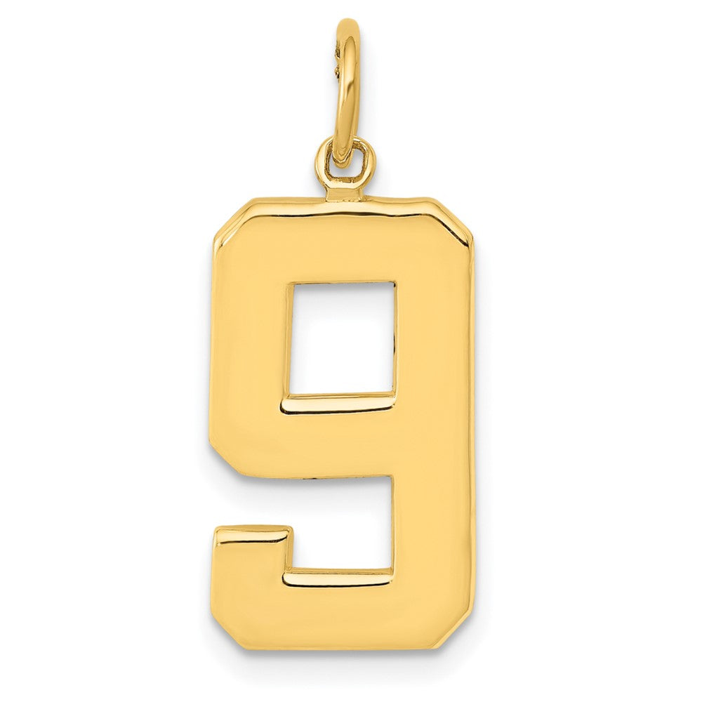 14k  Large Polished Number 9 Charm