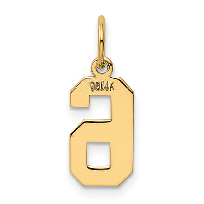14k Small Polished Number 6 Charm