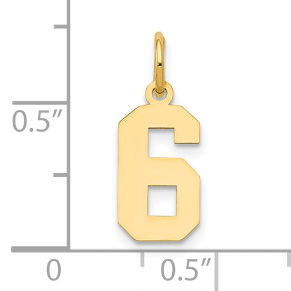 14k Small Polished Number 6 Charm