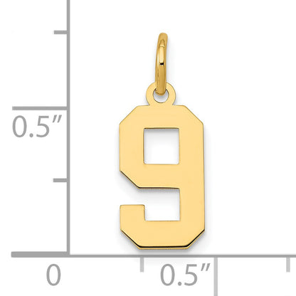 14k Small Polished Number 9 Charm