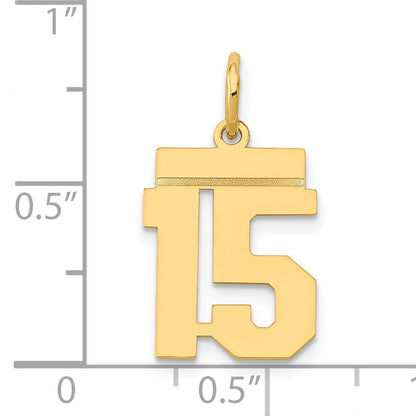 14k Small Polished Number 15 Charm