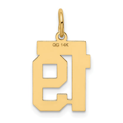 14k Small Polished Number 19 Charm