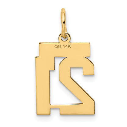 14k Small Polished Number 21 Charm