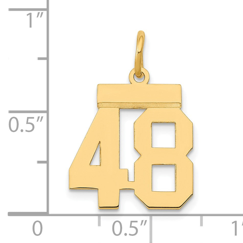 14k Small Polished Number 48 Charm