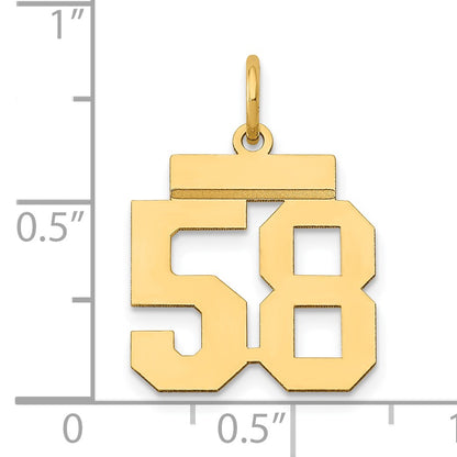 14k Small Polished Number 58 Charm