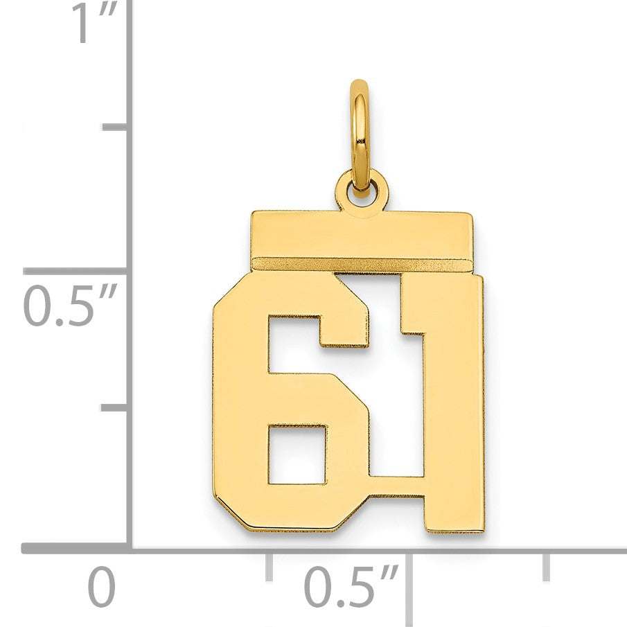 14k Small Polished Number 61 Charm