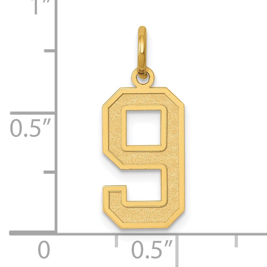 14k Medium Satin Number 9 Charm