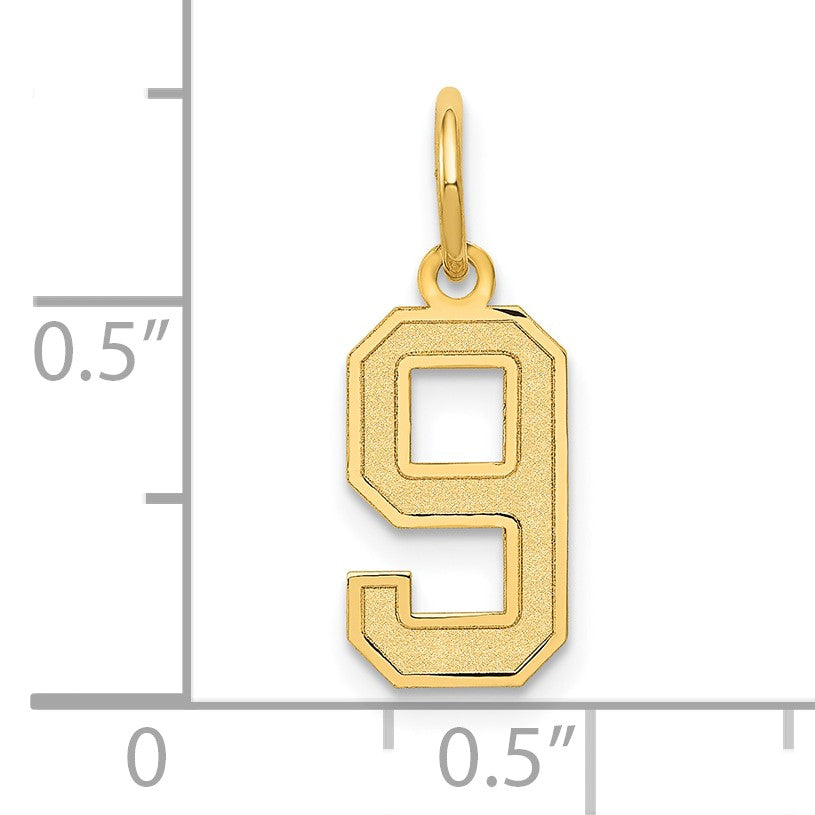14k Small Satin Number 9 Charm