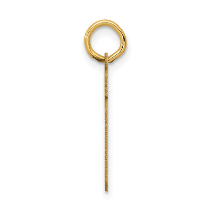 14k Small Satin Number 19 Charm