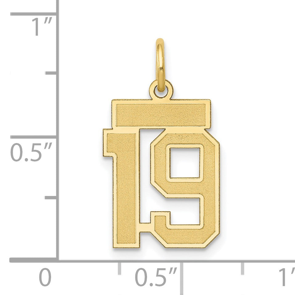 14k Small Satin Number 19 Charm