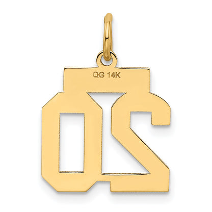 14k Small Satin Number 20 Charm