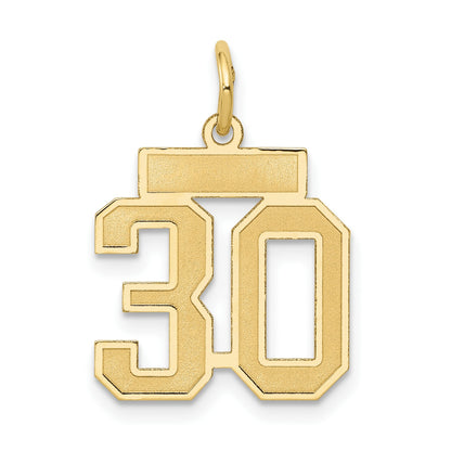 14k Small Satin Number 30 Charm