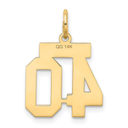 14k Small Satin Number 40 Charm
