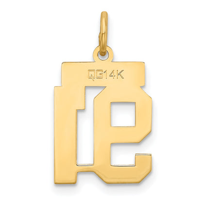 14k Small Satin Number 91 Charm