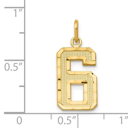 14k Medium Diamond-cut Number 6 Charm