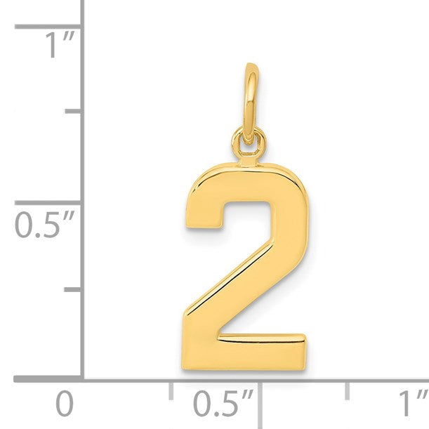 14k Medium Polished Number 2 Charm