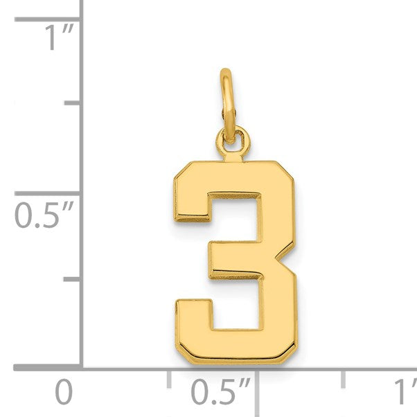 14k Medium Polished Number 3 Charm