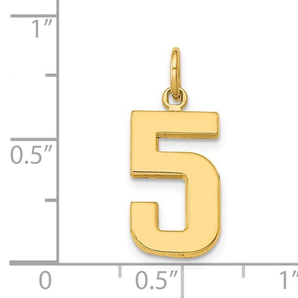 14k Medium Polished Number 5 Charm