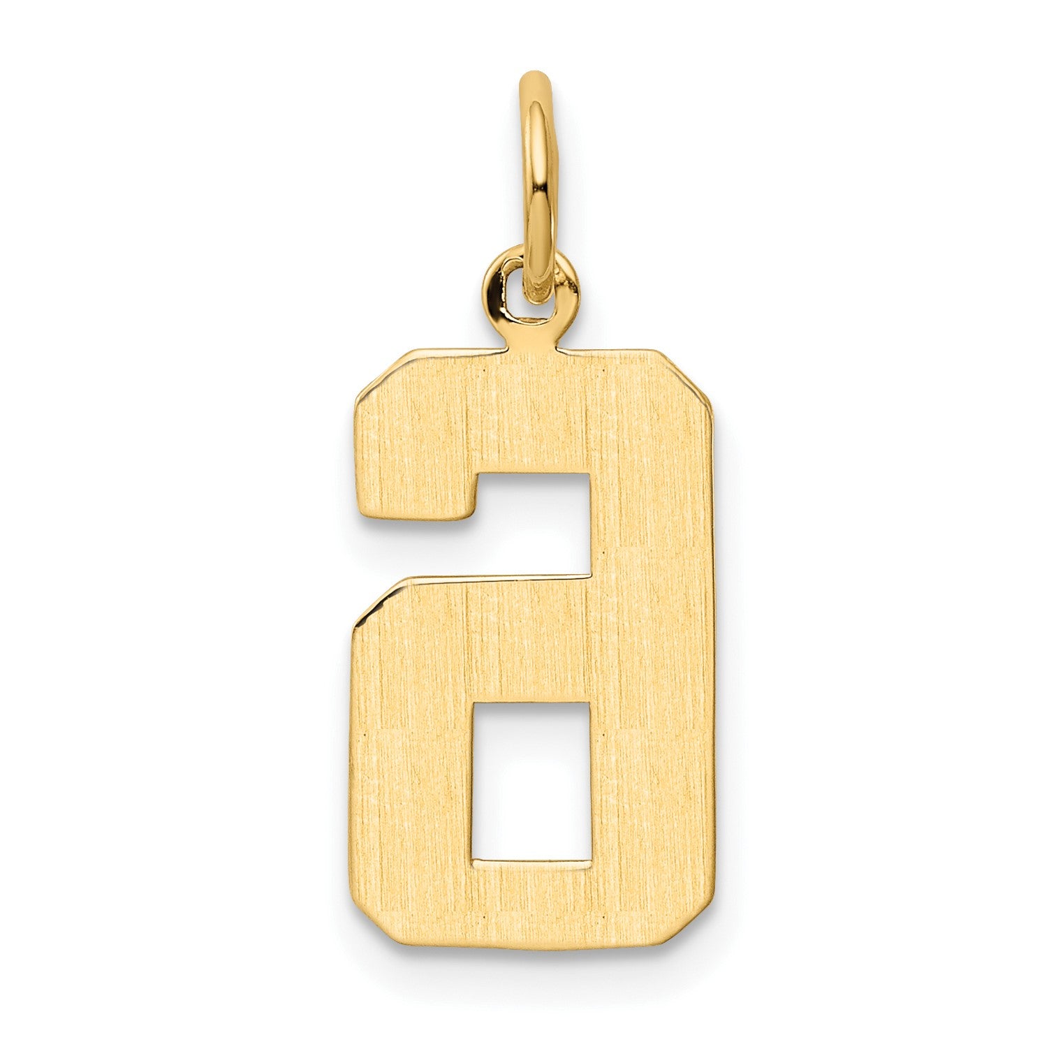 14k Medium Polished Number 6 Charm