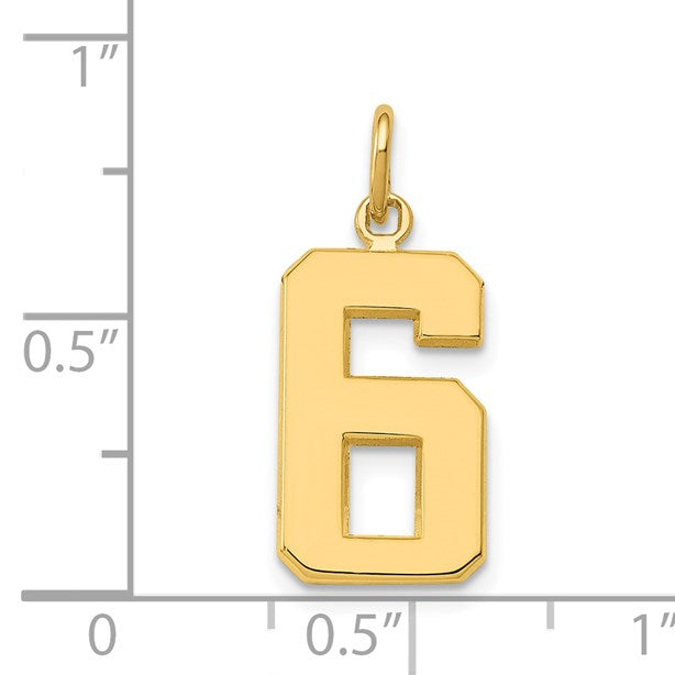 14k Medium Polished Number 6 Charm