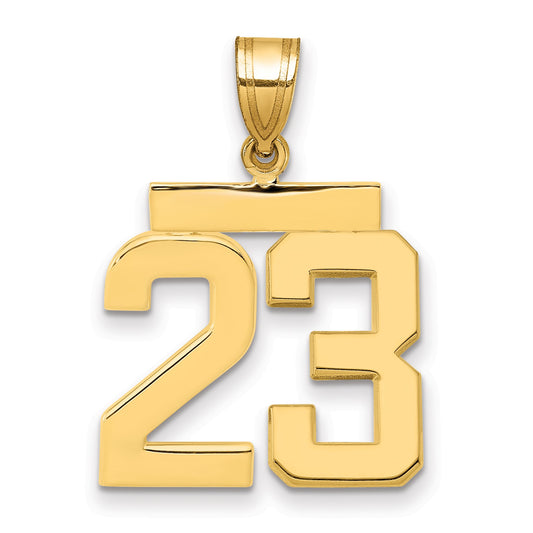 14k Medium Polished Number 23 Charm