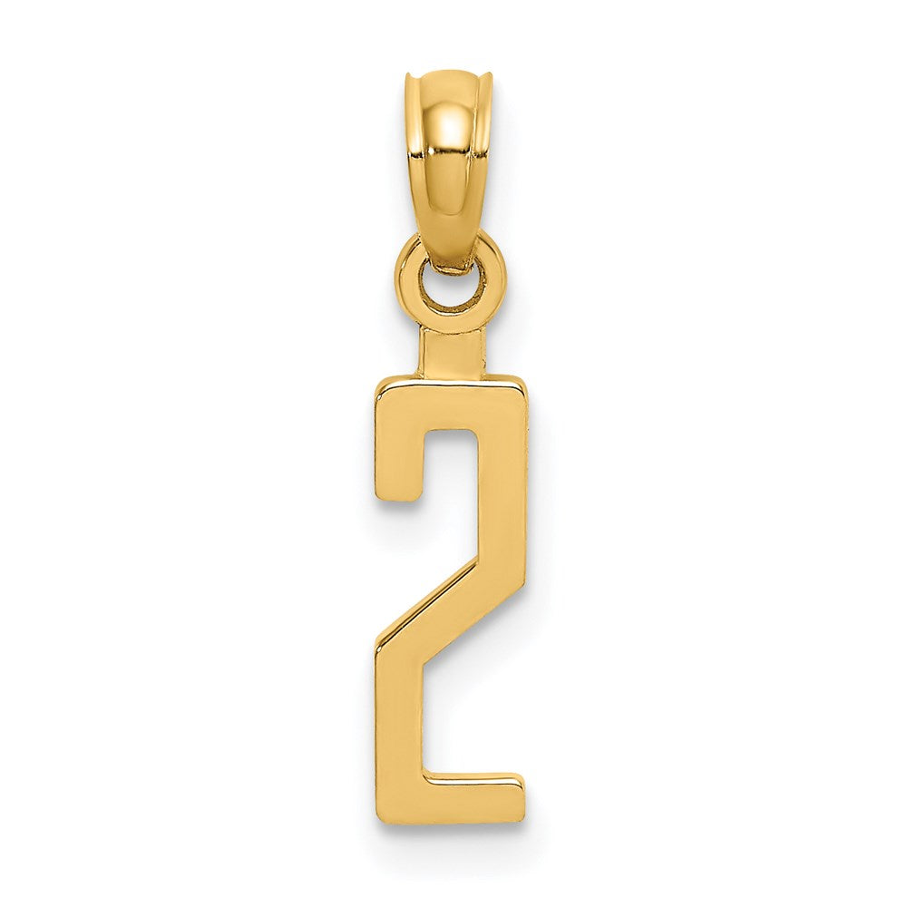 14k Polished Number 2 Pendant