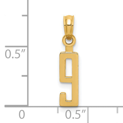 14k Polished Number 9 Pendant