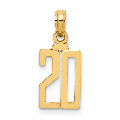 14k Yellow Gold Polished Number 20 Pendant