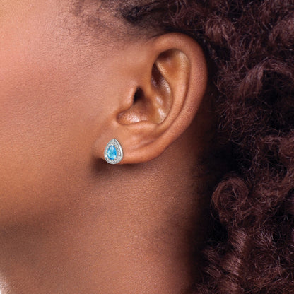 Sterling Silver Rhodium Plated Blue and Clear CZ Post Earrings
