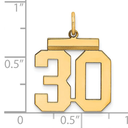 Sterling Silver Gold-plated Medium Polished Number 30 Charm