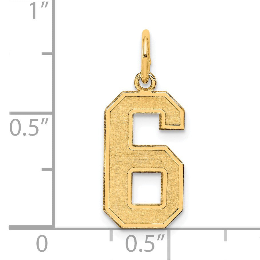 Sterling Silver/Gold-plated Satin Number 6 Charm