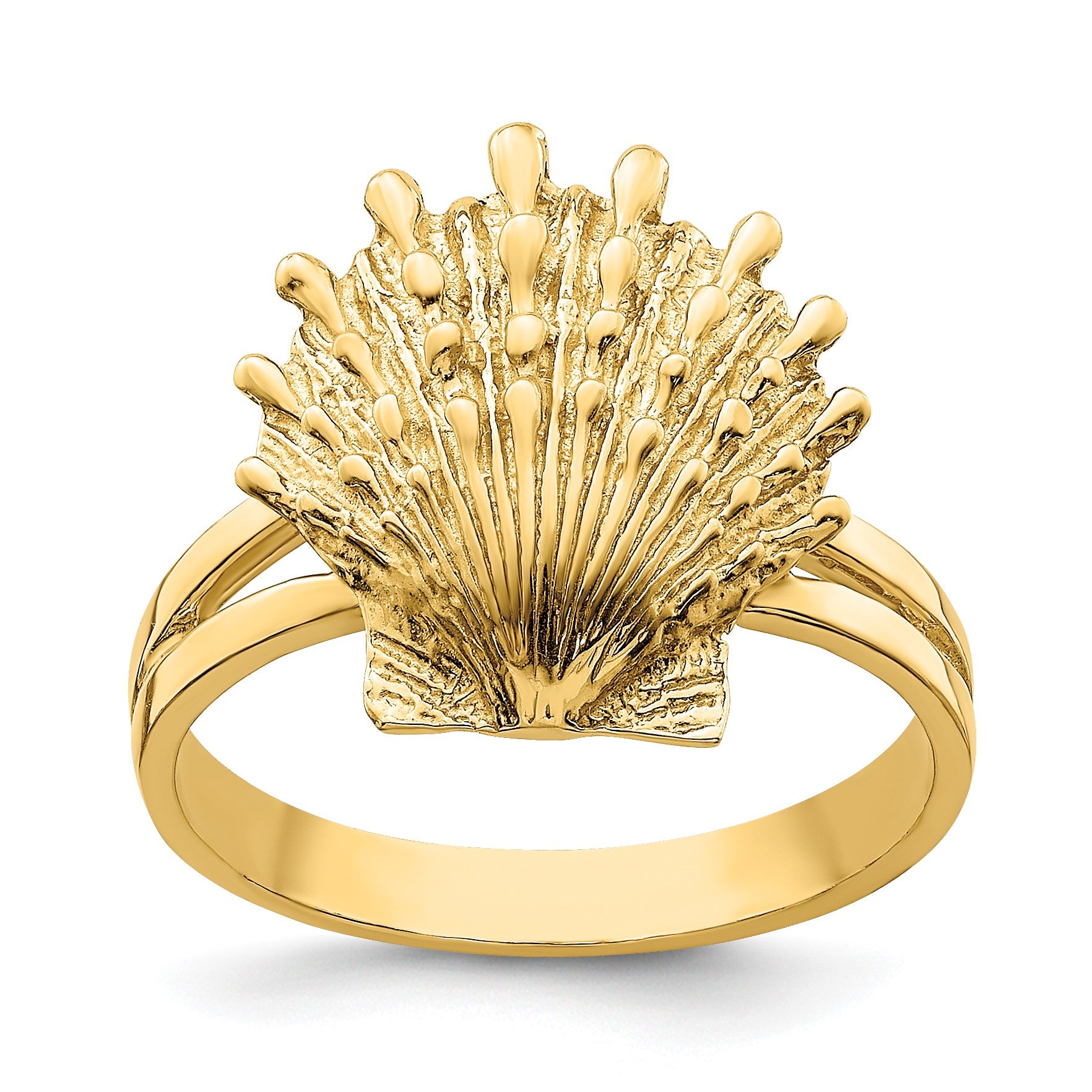 14K Lions Paw Shell Ring