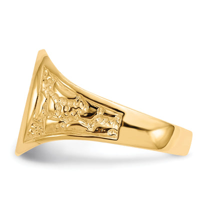 14k 11.0x14.5mm Oval Closed Back Mens Nugget Signet Ring