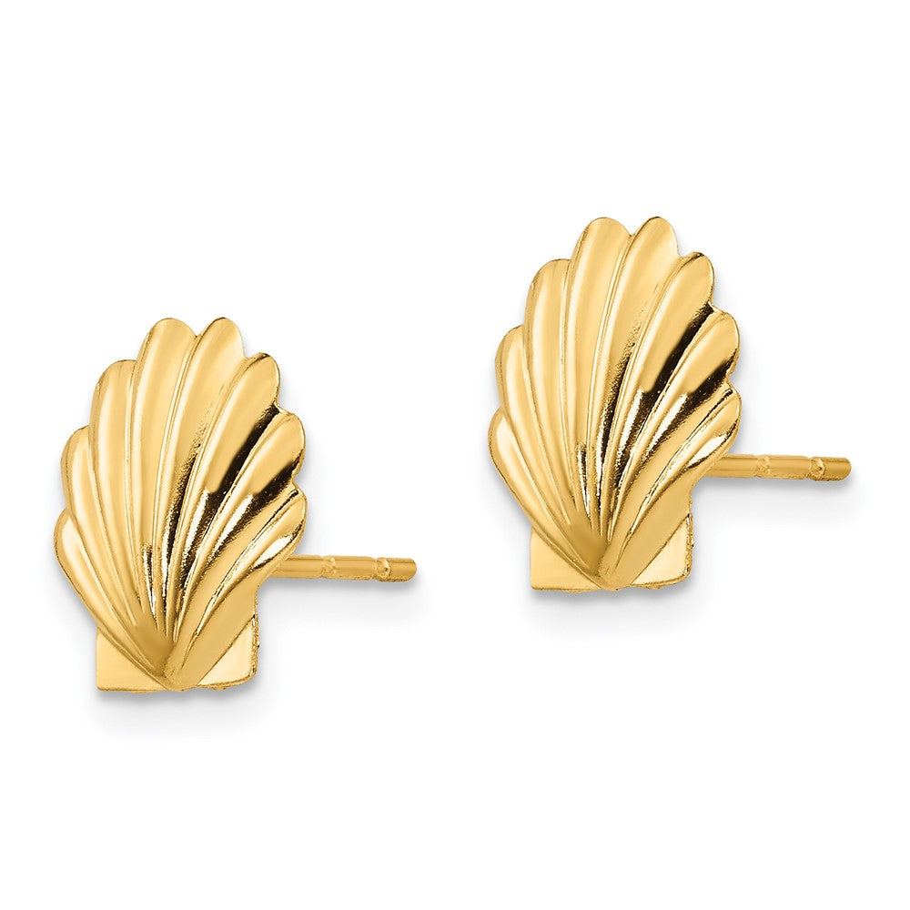 14k Madi K Shell Post Earrings