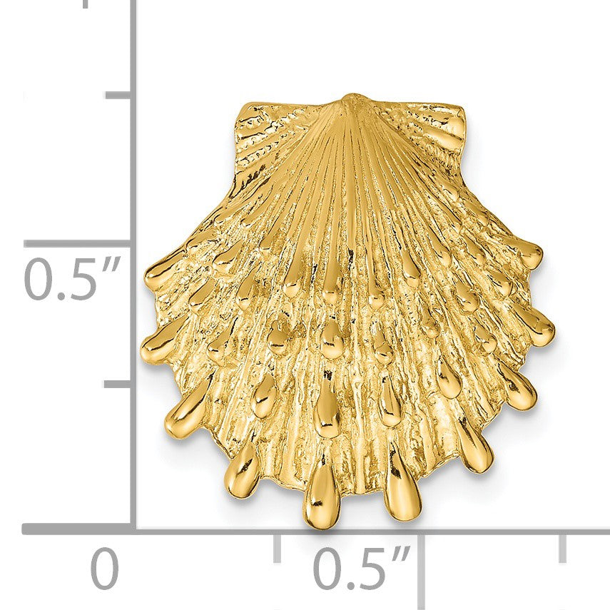 14k Lion's Paw Shell Omega Slide