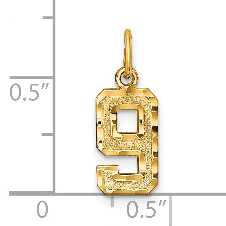 14k Small Brushed Diamond-cut Number 9 Charm