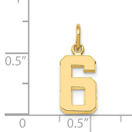 14k Small Polished Number 6 Charm