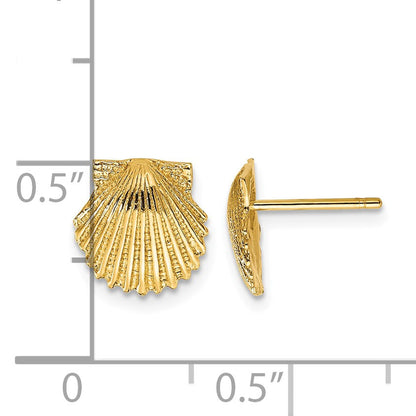 14k Scallop Shell Post Earrings