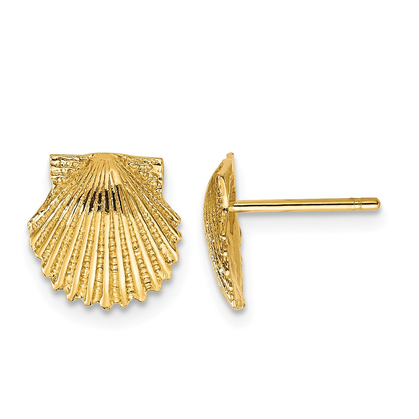 14k Scallop Shell Post Earrings