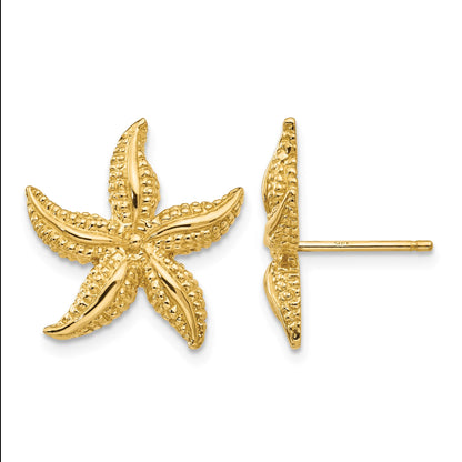 14k Starfish Post Earrings