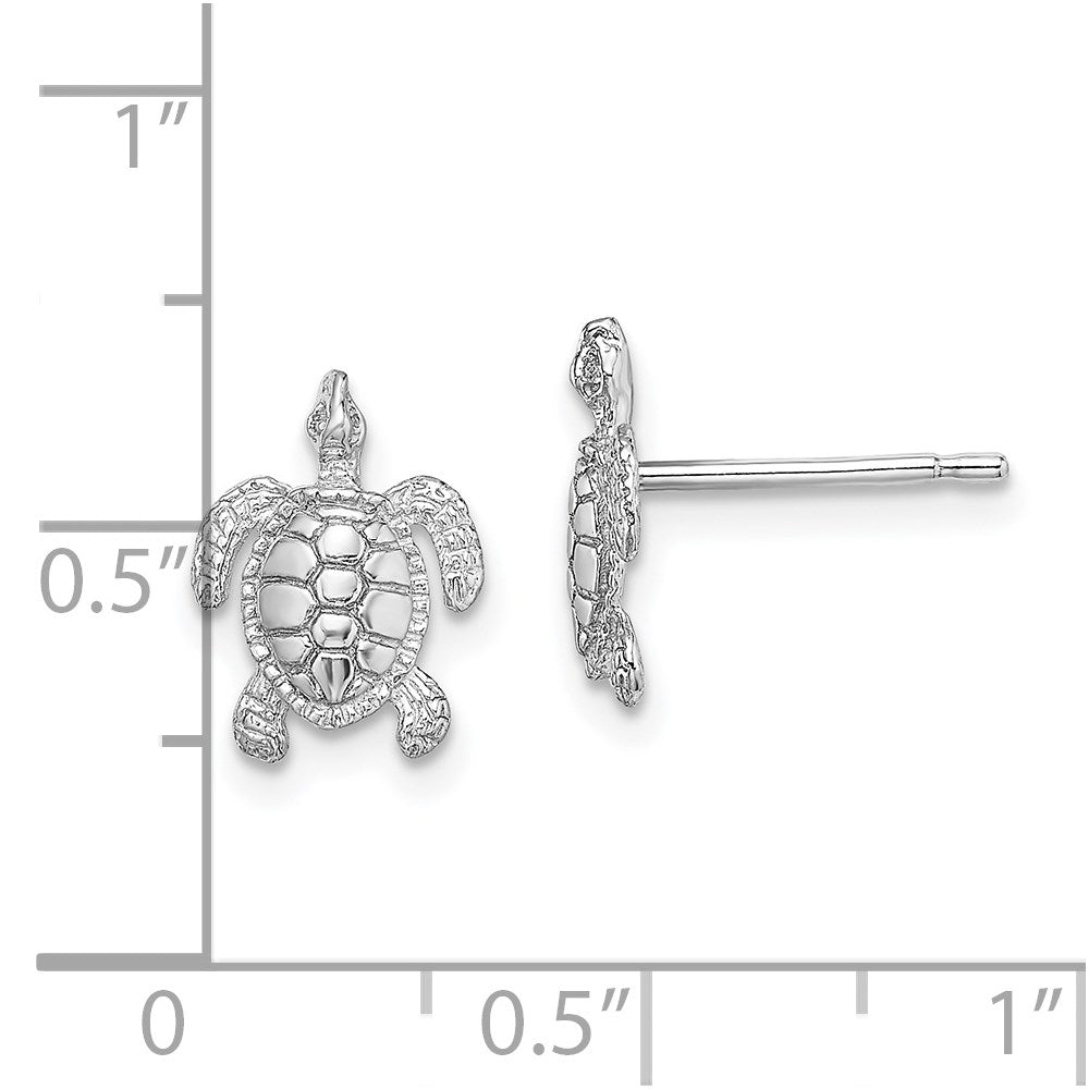 14K White Gold Polished / Textured Sea Turtle Post Earrings