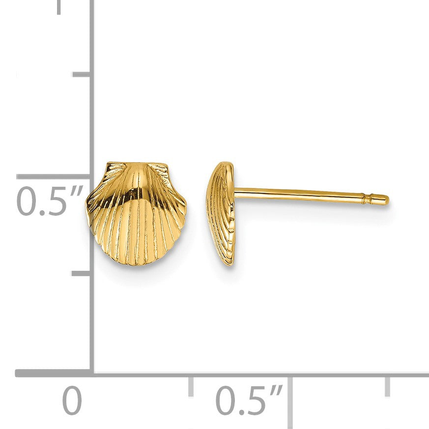 14k Mini Scallop Shell Post Earrings