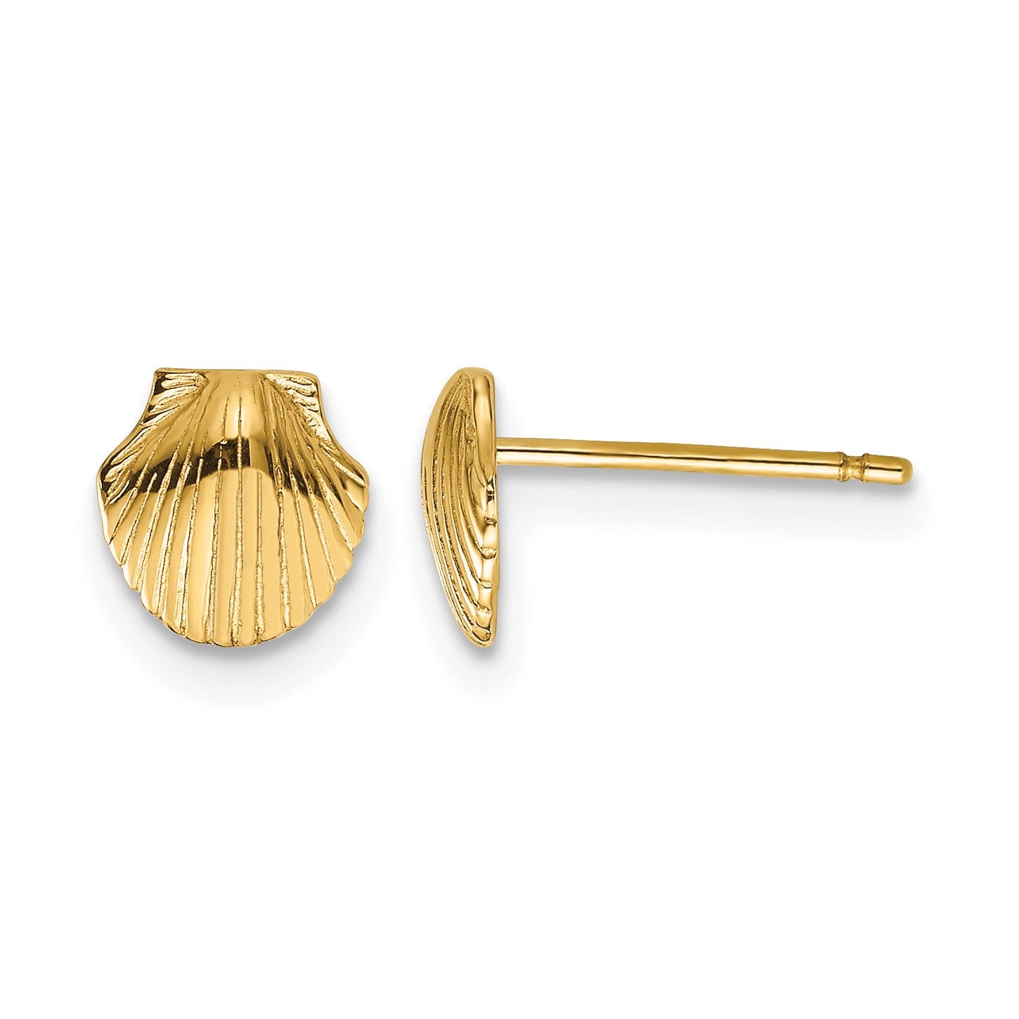 14k Mini Scallop Shell Post Earrings
